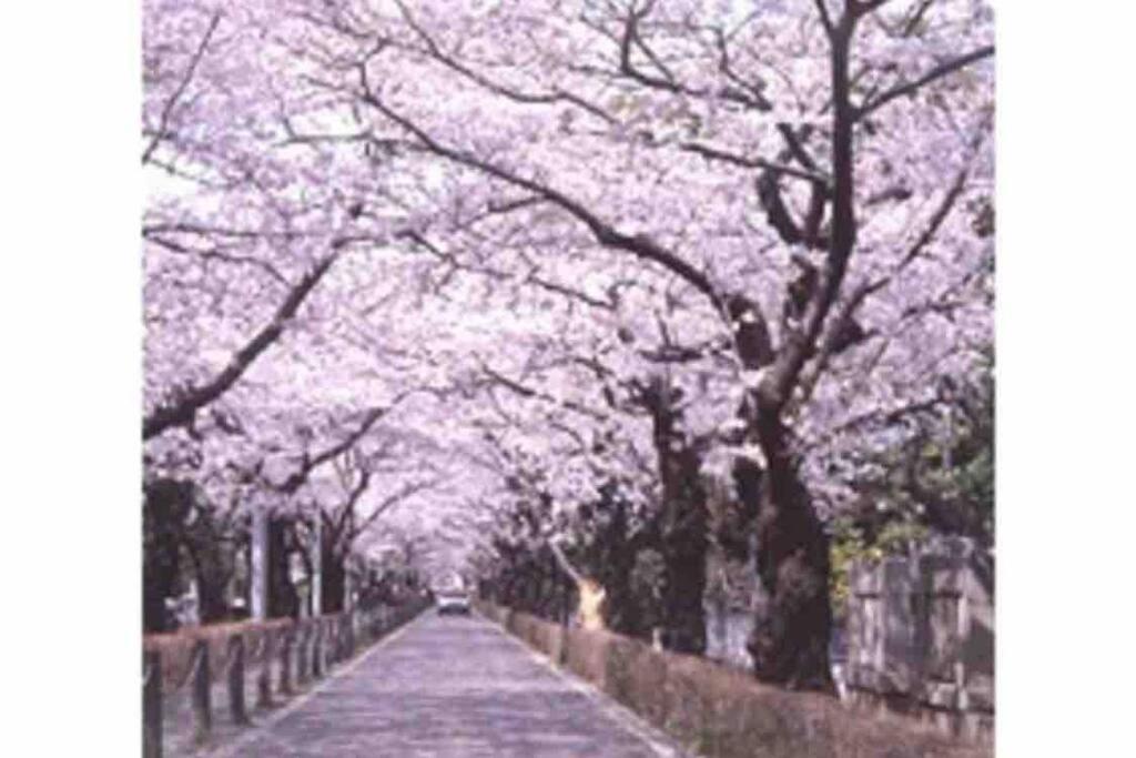 Small Villa Tokyo 渋谷まで2駅10分 青山一丁目駅徒歩3分一軒家ペット歓迎お子様歓迎駐車場あり6人までok Exterior foto